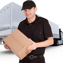 moving van and man n17