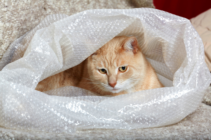 Moving house moving companies