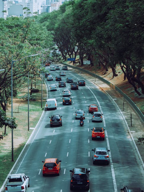 A multi-lane city street with various vehicles including cars and motorcycles moving in both directions, surrounded by tall trees with green foliage on either side and a few buildings visible in the background. The roadway features white lane markings and is partially shaded by the tree canopy, indicating an urban environment likely used for home relocation or furniture transport logistics. This scene reflects typical moving logistics or packing and moving processes supported by companies like Man with Van West Green, with an emphasis on vehicle movement and street environment relevant to house removals and transport services.